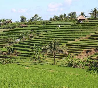 Bali, ubicación y geografía